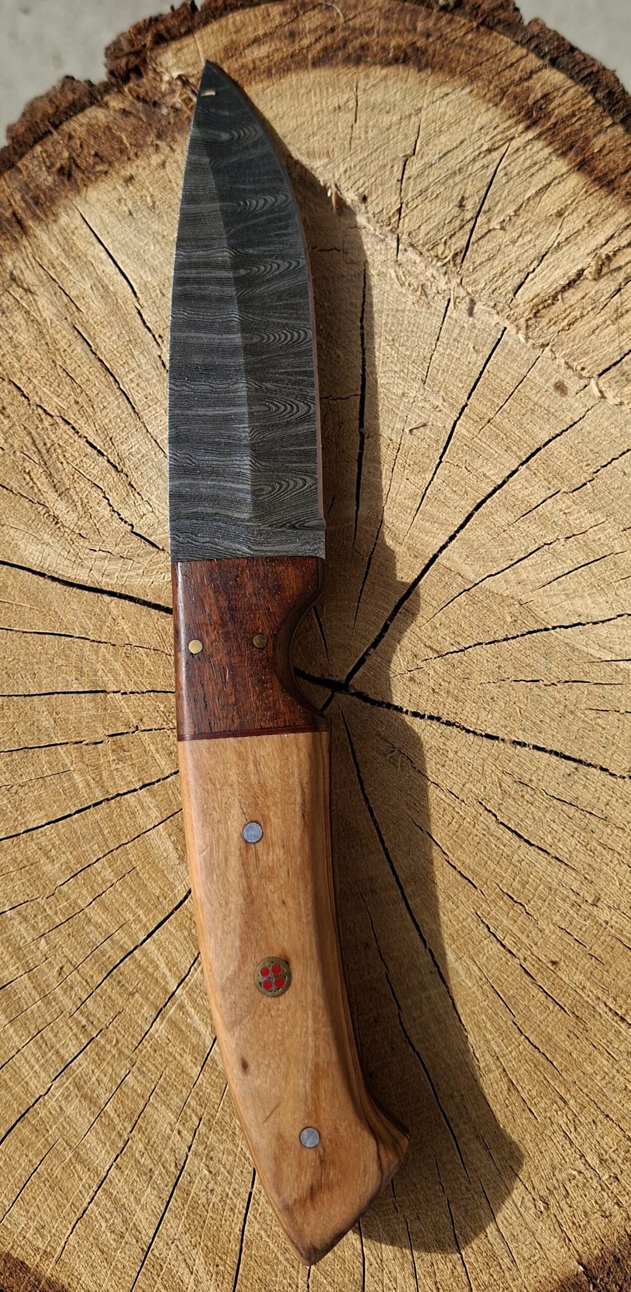 OKOR „Egejský vlk“ – ručne kovaný damaškový lovecký nôž – Obrázok 3