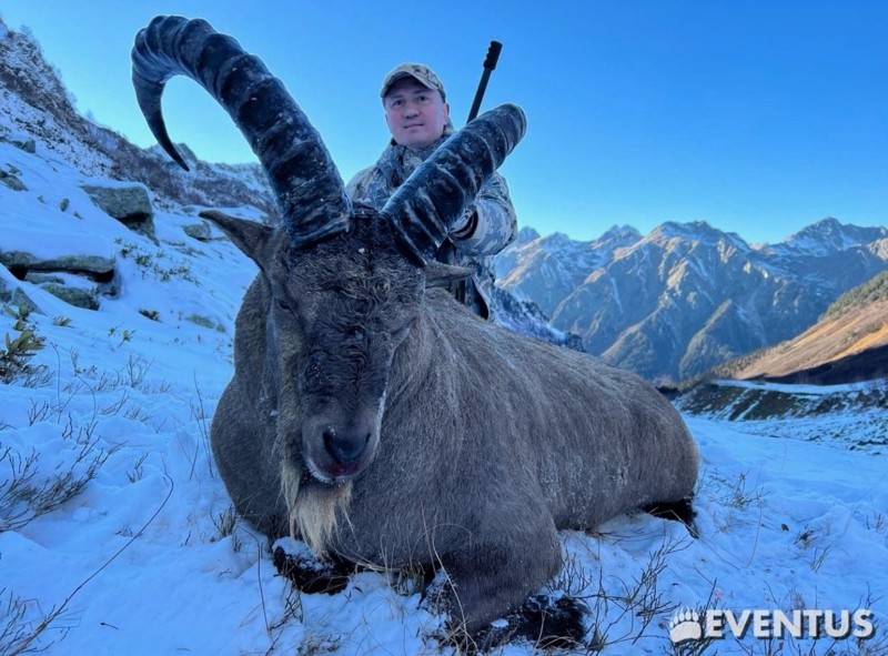 Lov kubánského tura v Karačajsko Čerkesku